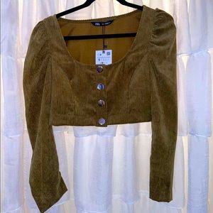 ZARA corduroy crop top